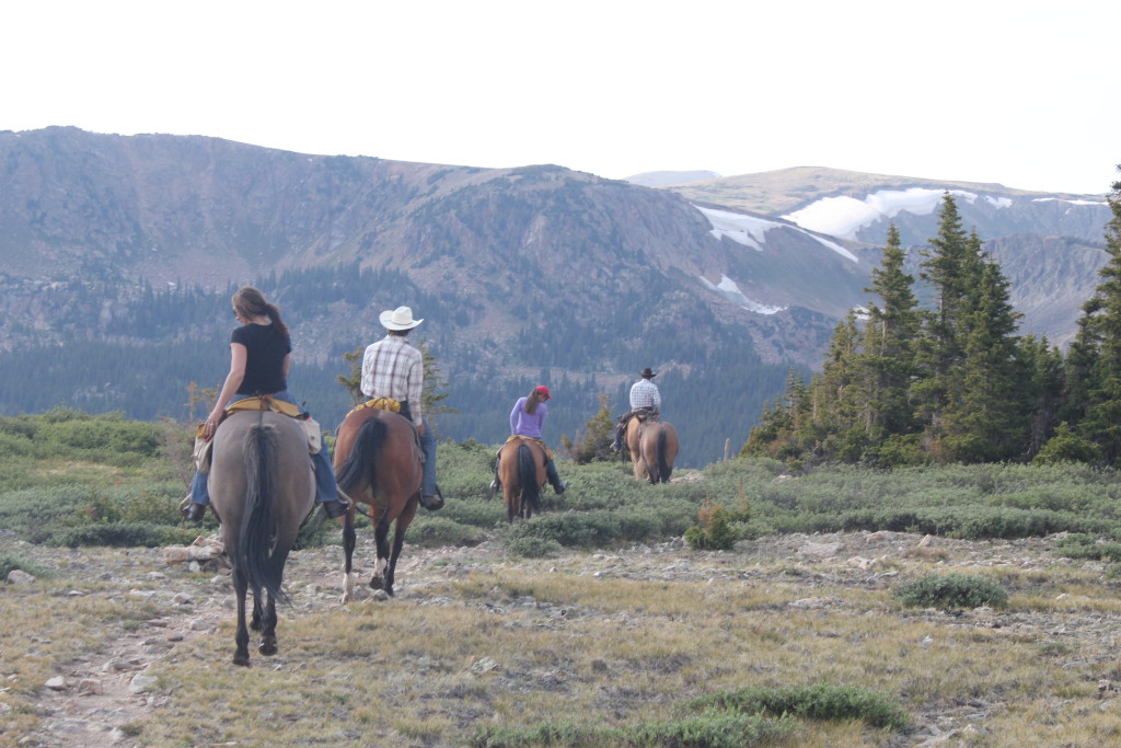 All day horseback ride on Colorado Trail
