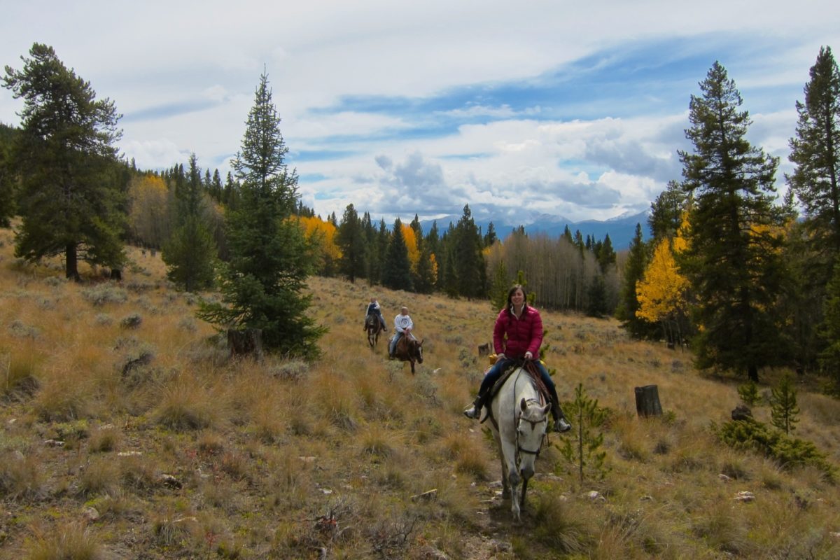 Fall colors 2.5v hour horseback ride