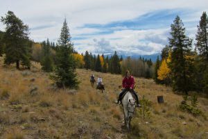 Fall color horseback ride near Breckenridge
