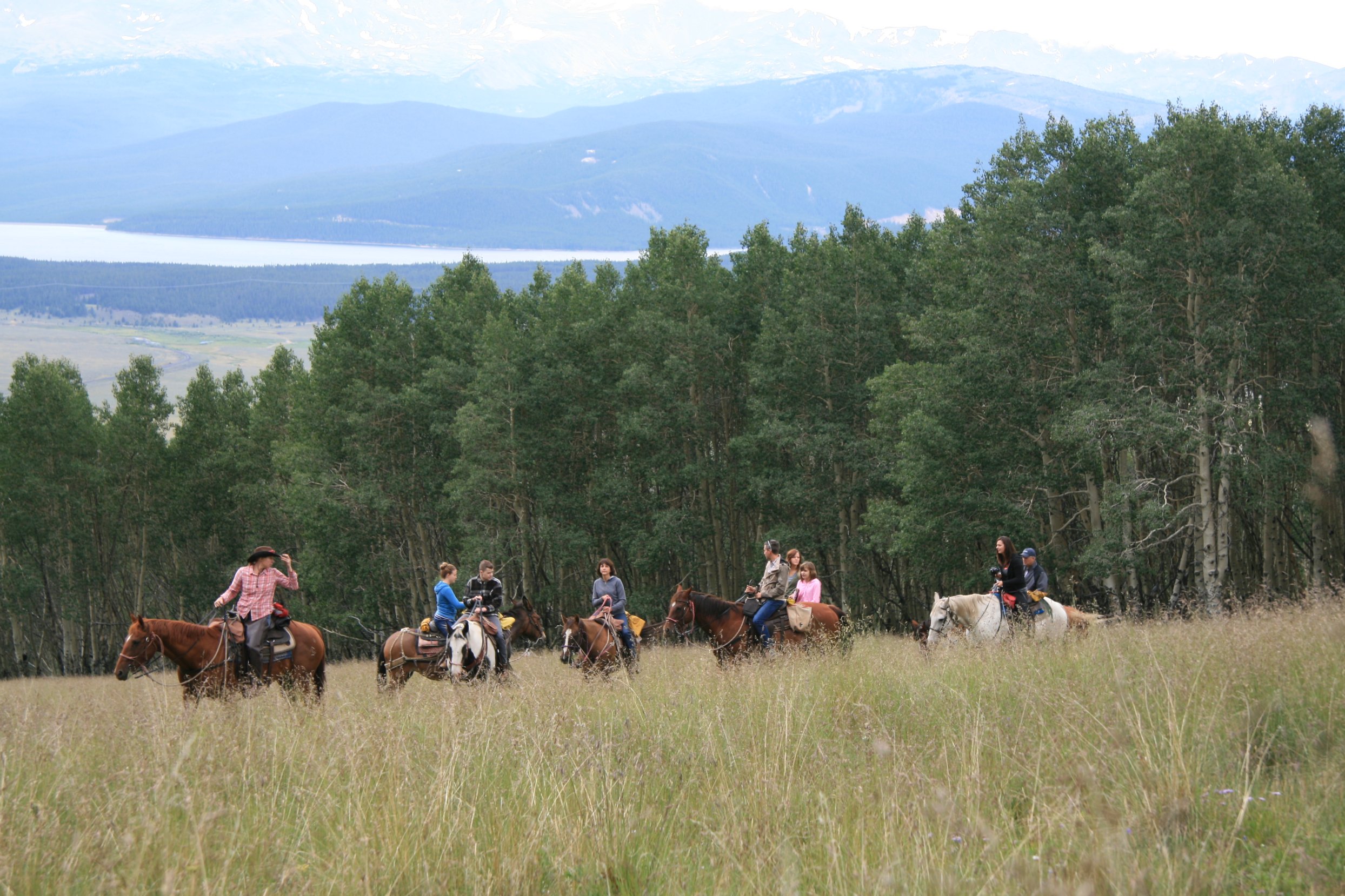 horseback ride