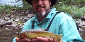 A Nice Trout From The Eagle River